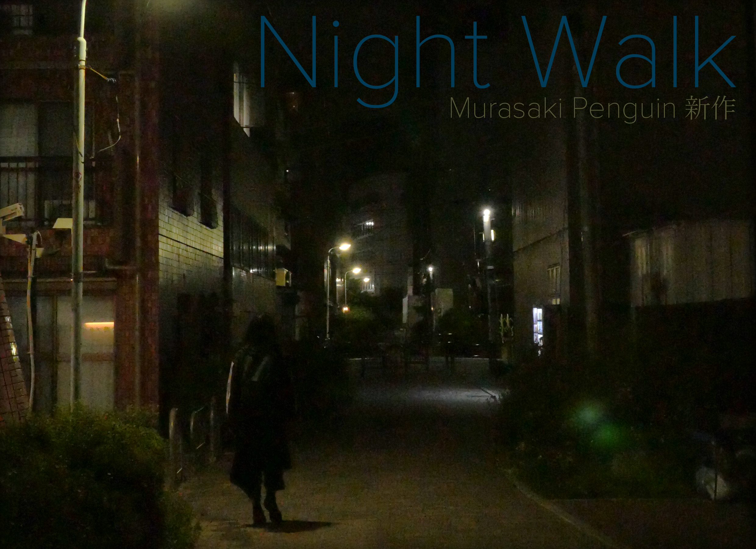 Night Walk Flyer Image Landscape